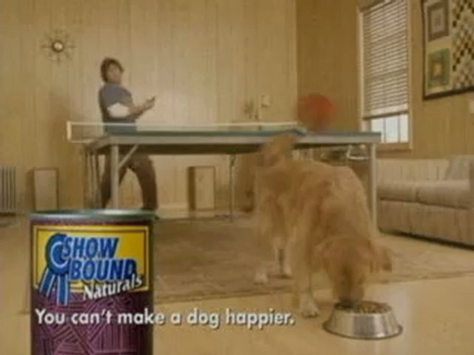 jouer au ping pong avec son chien