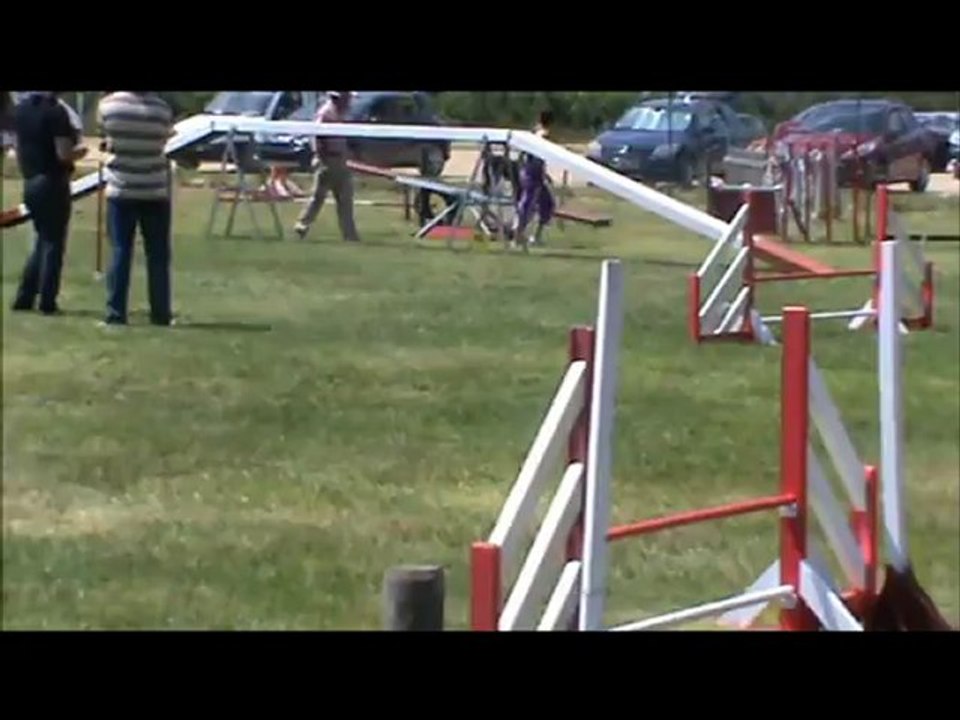 Carla & City Concours Agility à Saujon le 27 Mai 2012