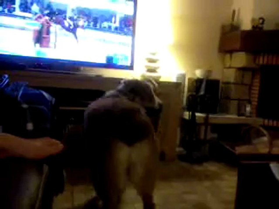 gucci tv
