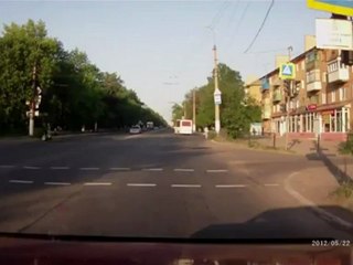 Dog Looks Both Ways Before Crossing