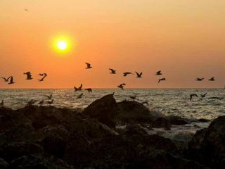 ذكراك سلمى إلياس الرحباني