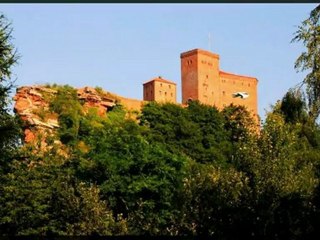 Всероссийская конференция Союза краеведов России. 2012 год.