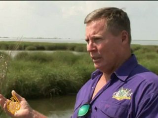 Gulf fisherman fears for future