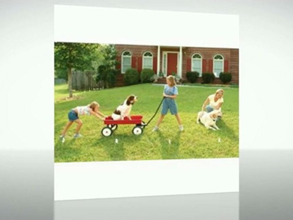 PetSafe-Deluxe-In-Ground-Fence