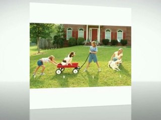 PetSafe-Deluxe-In-Ground-Fence