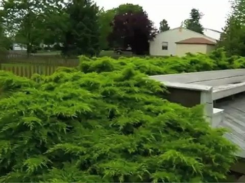 1847 Brook Lane, Jamison, PA