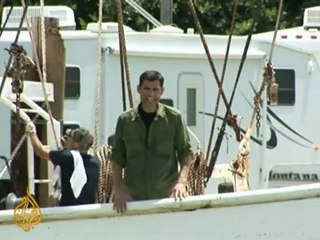 Shrimp season hampered by BP oil spill