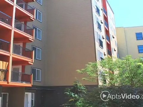 Illumina Lake Union Apartments in Seattle, WA - ForRent.com