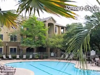 Alara Cantebrea Crossing Apartments in Austin, TX - ...