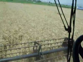 Rüzgar Tarım Ve Hayvancılık Süleyman Kaptan CS640