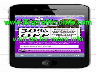 What is Mobile Marketing