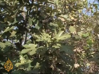 Invasion hurts Iraq-Kuwait relations