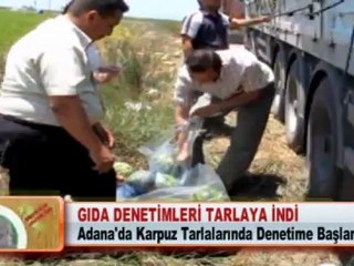GIDA DENETİMLERİ TARLAYA İNDİ