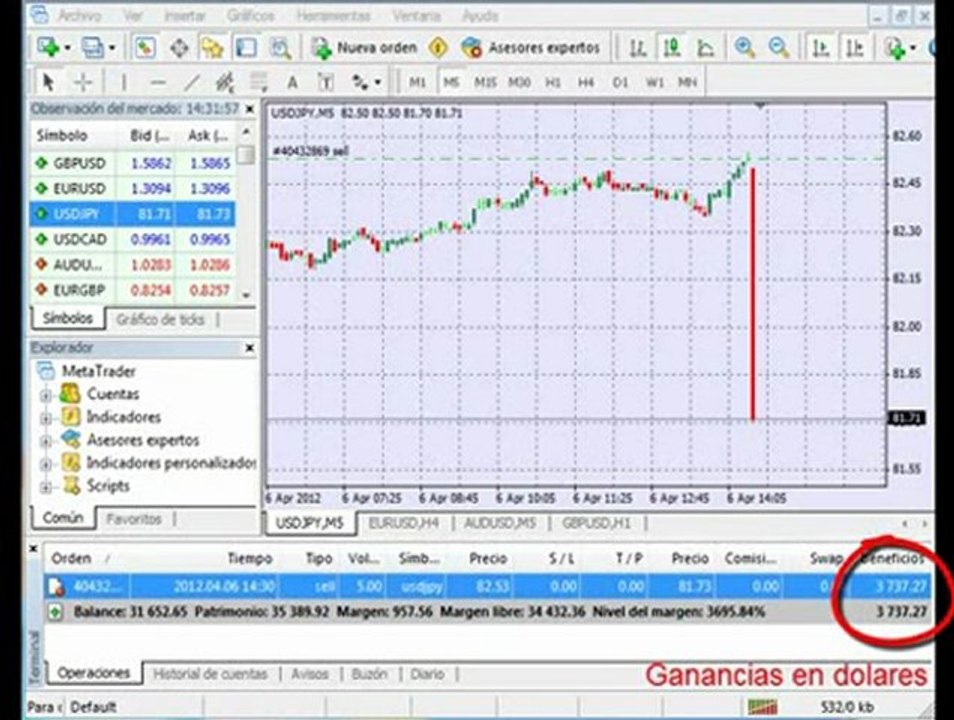 Cursos forex: cursos forex para resultados efectivos