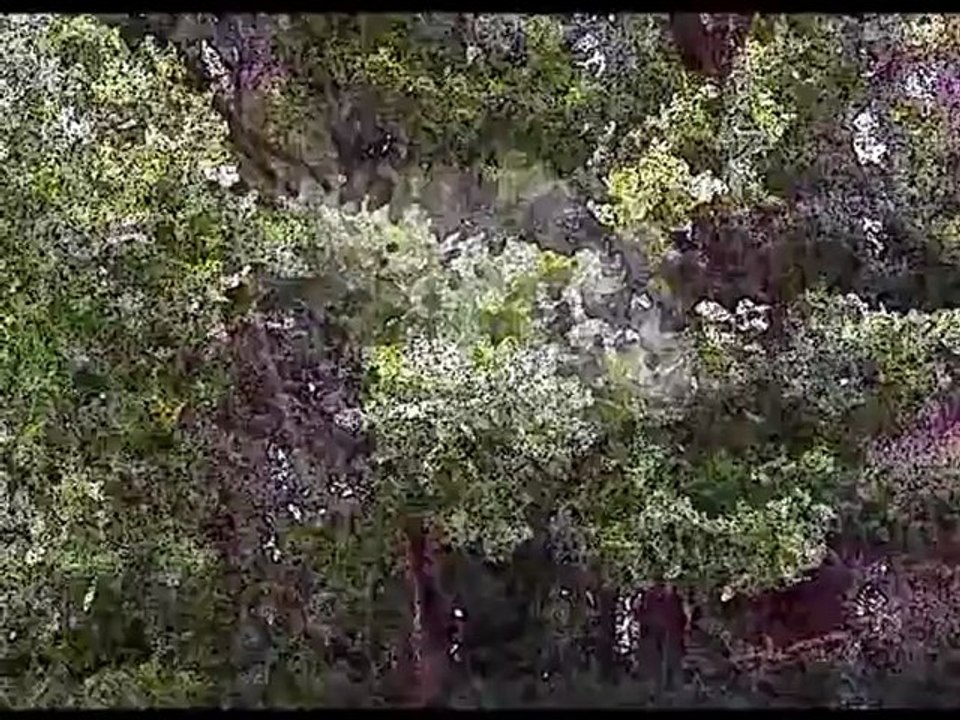 Der Lebensbaum, eine Jugendstil Halskette - anhgl32_flv