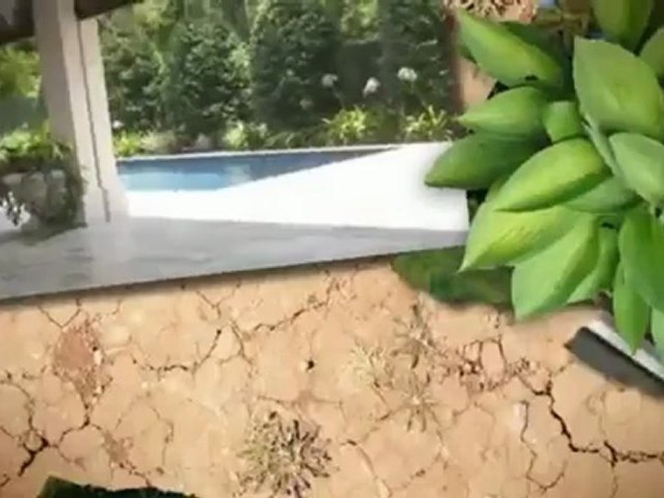 Mosquito-Guy - (321)-698-9397