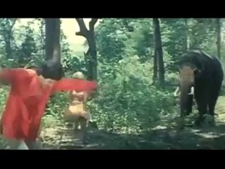 Pachai Kodigal - Kattukkulle Thiruvizha