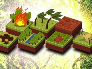 Les grandes forêts menacées