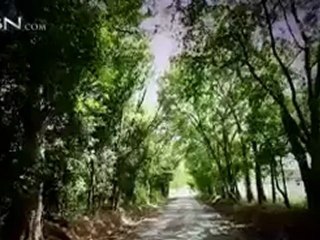 Billy Hall's Prison Miracle - CBN.com