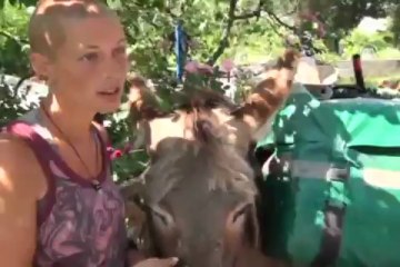 Hindistan'a gidiyorlar