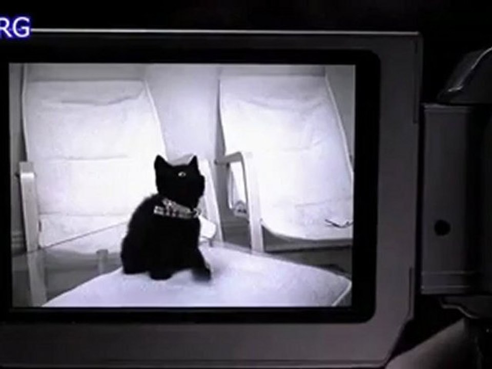 bao thu 2005_clip5.mp4