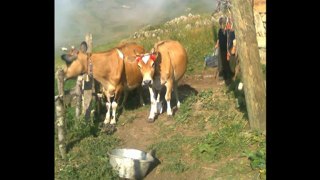 Karadeniz türküleri