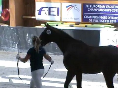 ABACO MODELES ET ALLURES MALES 2 ANS LE MANS 2012