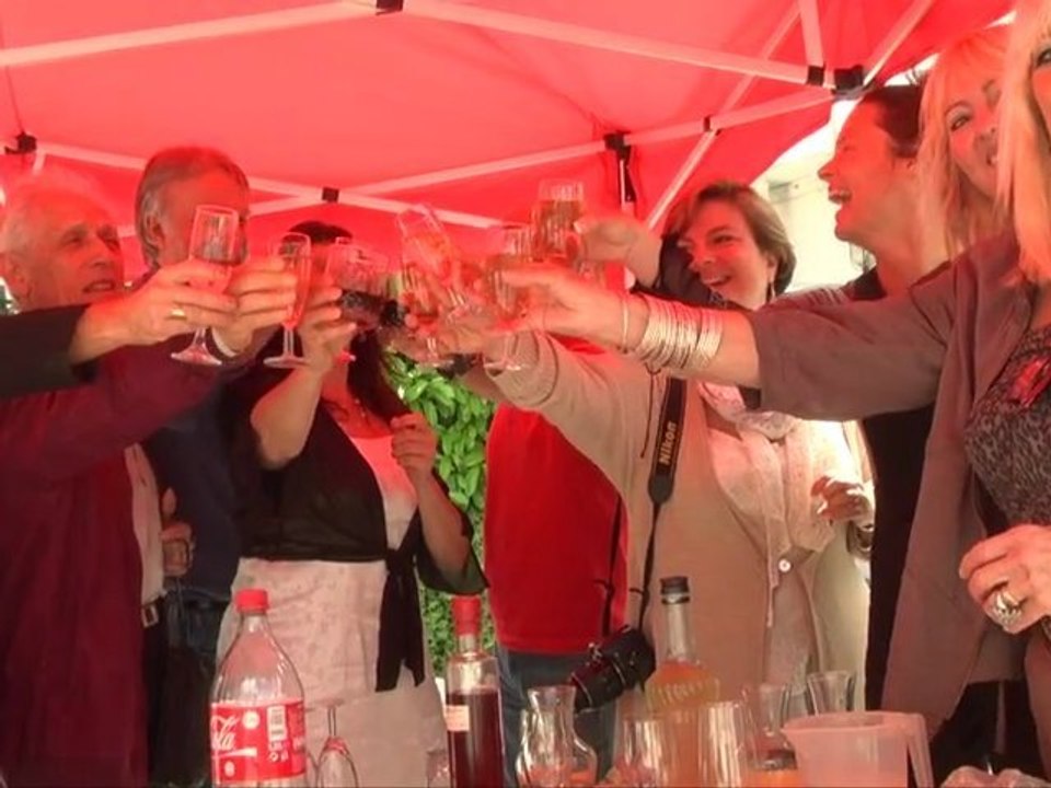 Grande Soirée de Gala organisée par le Centre Chorégraphique Bouichet Sawas au profit de l’association France Parkinson, le 22 juin 2012 à Carcassonne :