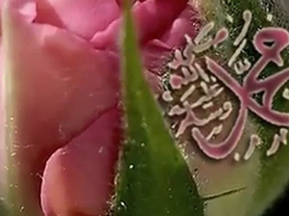 ᏊᏩйᏝ SEN GönᏝÜ௱йn ௱eᏝte௱isin