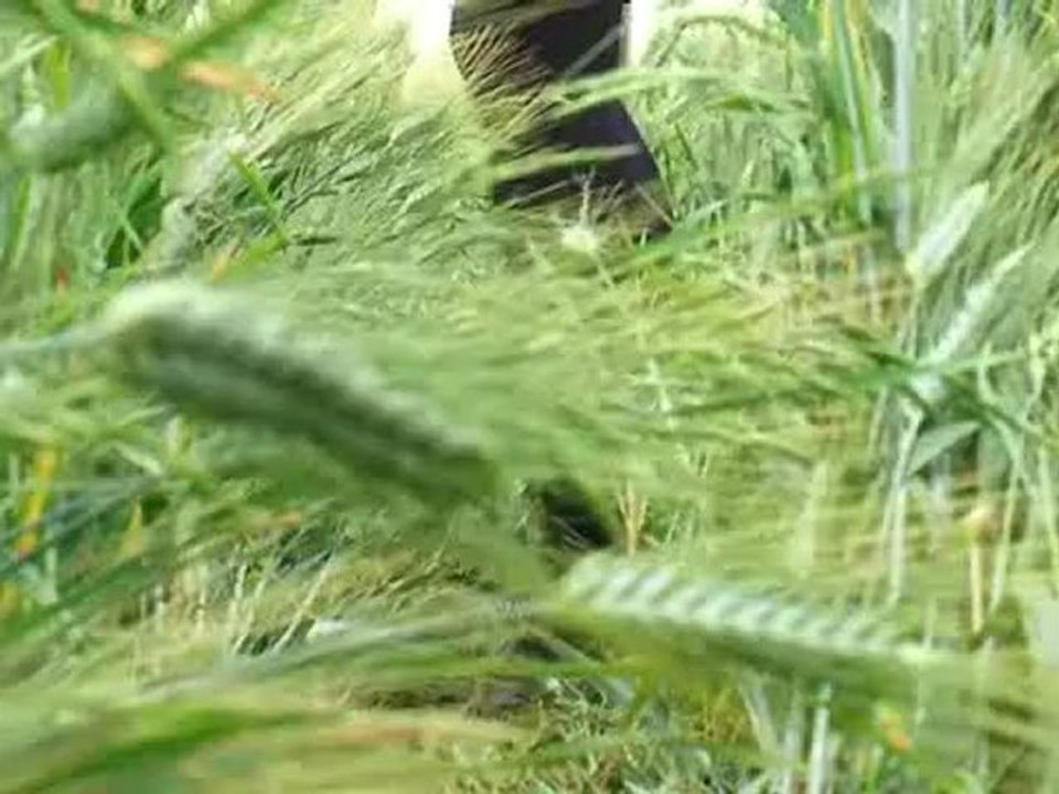 1688165_CROP_CIRCLE_00001A2V