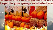 Margarine were created for turkeys