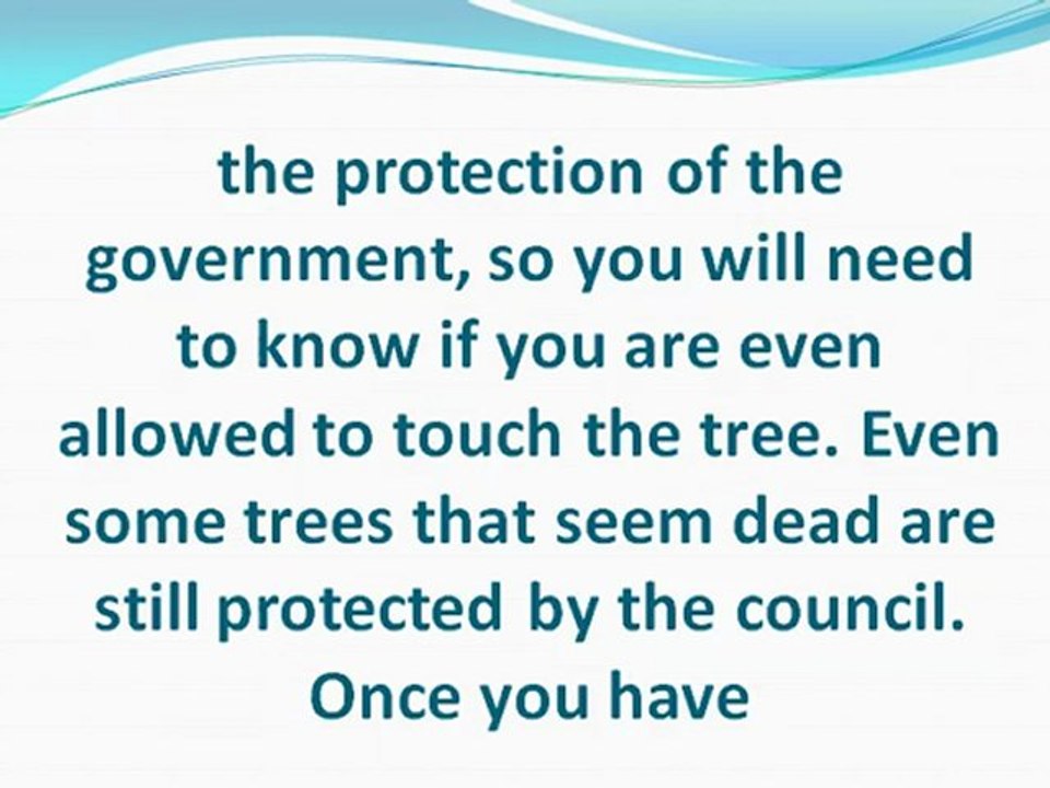 Trimming or Removing Trees Safely