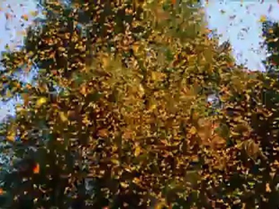 ᏊᏩйᏝ ᏊᏊᏊ