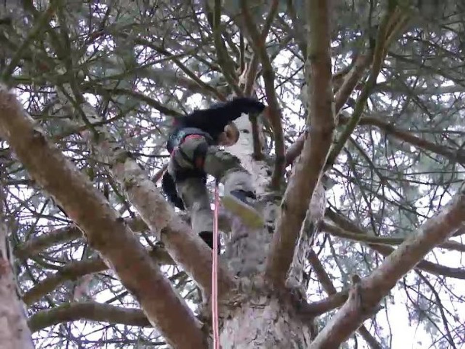 Mois du sport Cébron : Au dessus du sol !!!
