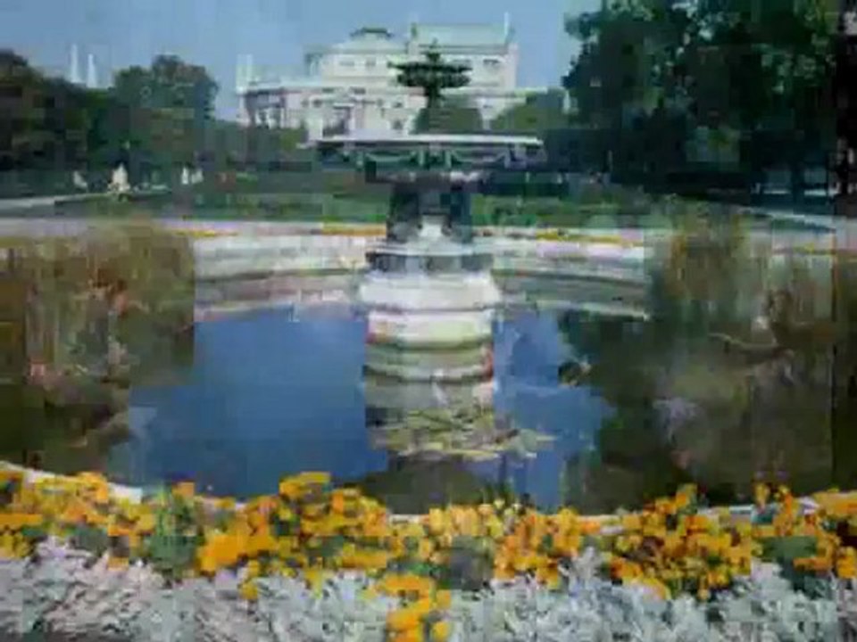 François Feldman Les Valses De Vienne Par Fernand