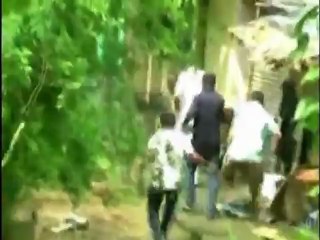 Wild cat attack in India