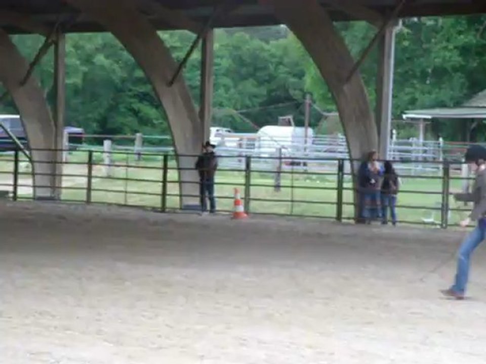 Marie-Anne en reinning premier concours, première place!!! :D