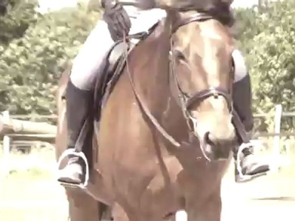 Gwendo et Infante ♥