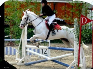 Les couples du Centre Équestre Nord Isère (2012)