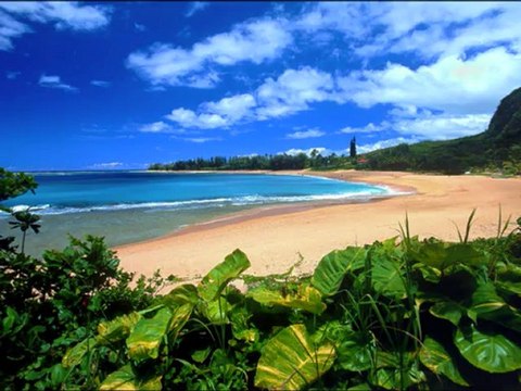 F R David ( Words / Yamaha Psr 3000 )