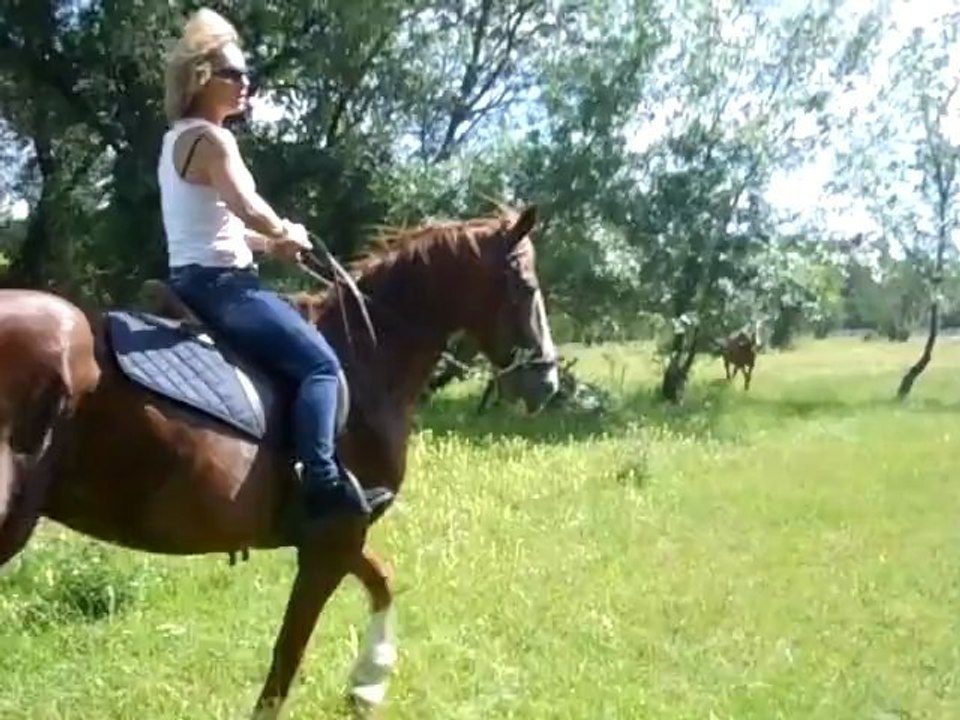 cathy à cheval