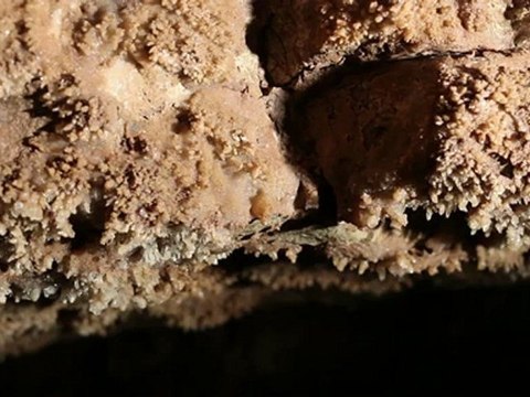 Le film sur les GROTTES DE LACAVE - Un Voyage Hors du Temps [extrait3/3]