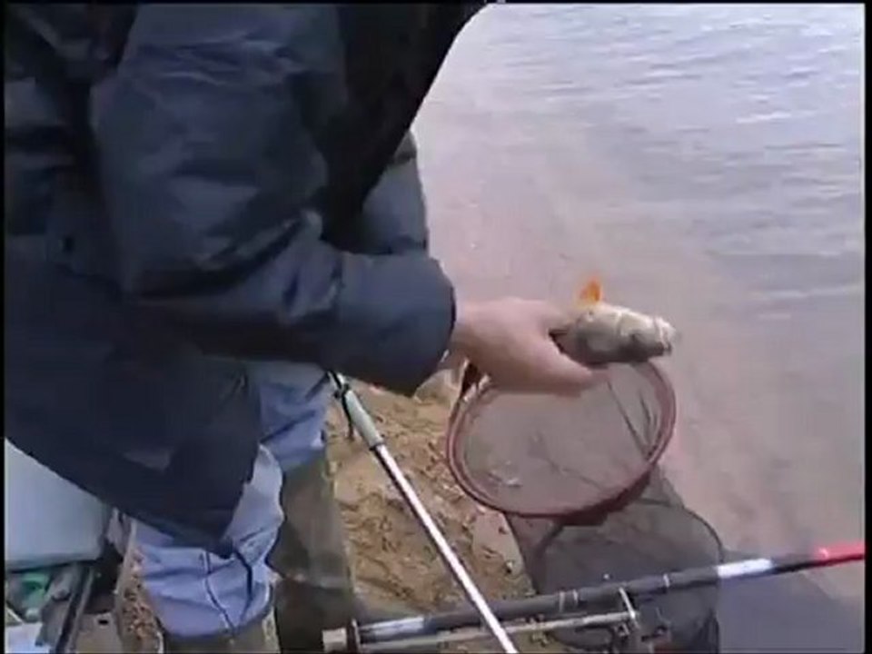 perche au leurre et au ver technique différente