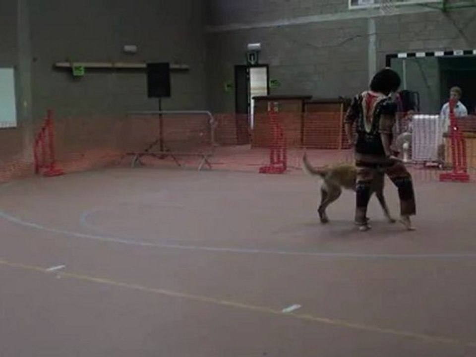 20120603152619