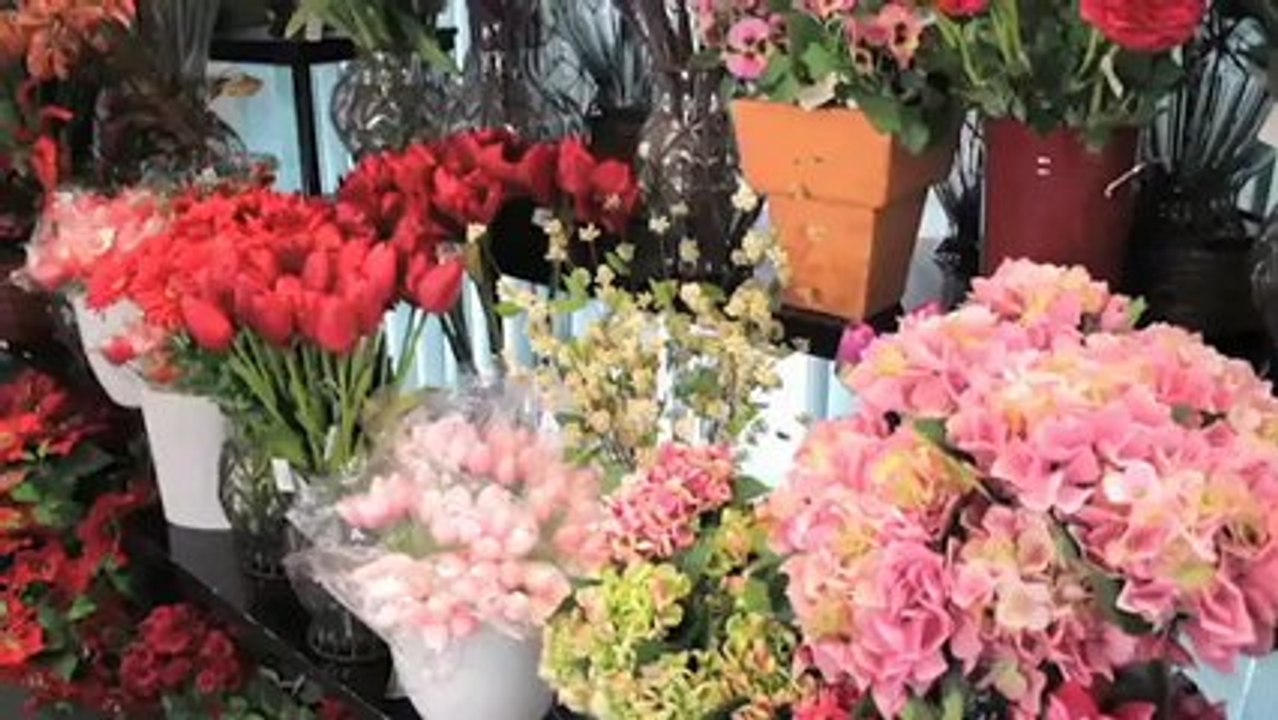 Gift Shop Coorparoo Swann Agencies QLD