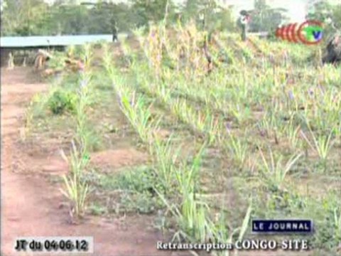 L’ambassadeur de Russie reçu en audience par le ministre Alain Akouala Atipault