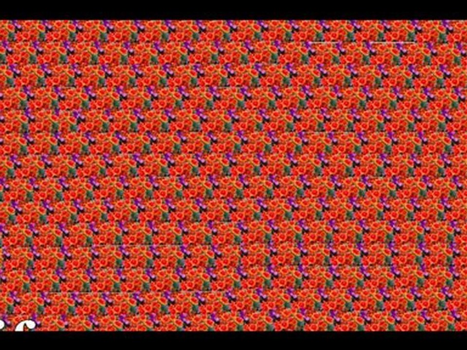 How Your Experience of Reality Gets Distorted