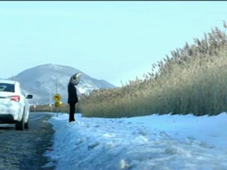 La succulente de Montréal par Gaël, Alex, Mathieu et Clément