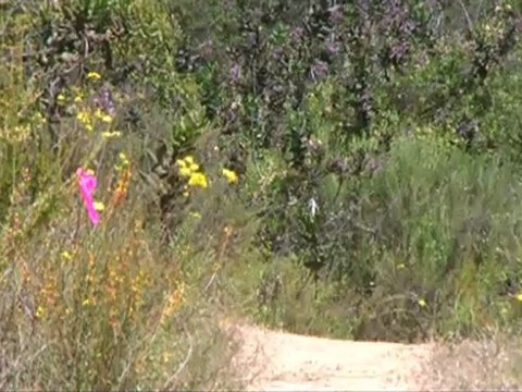 5ta Etapa Municipal Ciclismo MTB Piedras Gordas, Ensenada B.C.