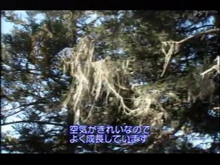 地球エコ紀行　世界遺産　中国九寨溝